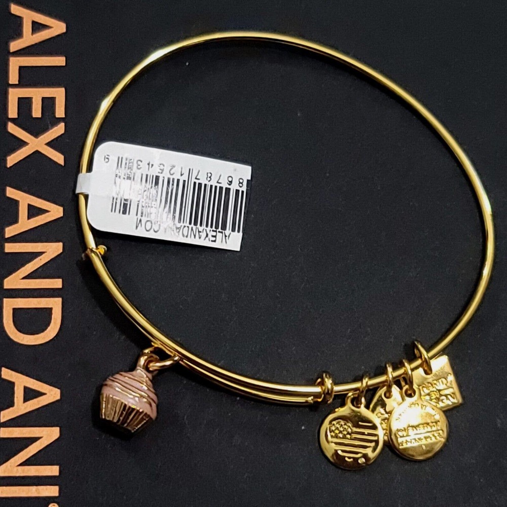 Alex And Ani Cupcake Charm Bracelet